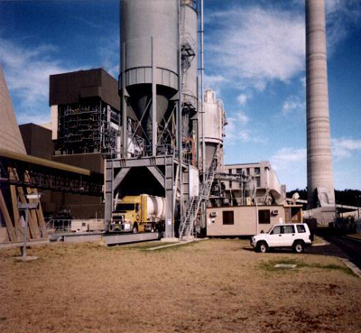 Mt Piper Plant